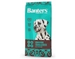 Banters Sensitive Salmon & Potato 15 kg