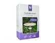Bedla vysoká (Macrolepiota procera) mycelium 750ml