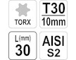 Bit 10 mm T30 x 30mm torx