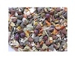 Deli Nature Rodelicious morče 2,5 kg