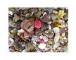 Deli Nature Rodelicious potkan / krysa 2,5 kg