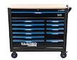 Dílenská pojízdná skříňka, 12 zásuvek, dřevěná deska, sada nářadí 501ks TAGRED