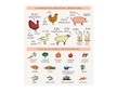 Harper and Bone Cat Sterilised divoké hory 2 kg