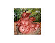 Hlíva růžová (Pleurotus djamor) 1kg, sada pro pěstování