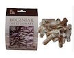 Hlíva ústřičná 20ks - podhoubí na kolících (Pleurotus ostreatus)