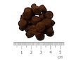 IRONpet Dog Puppy Mini & Medium Turkey (Krocan) 1,5 kg