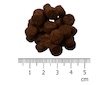 IRONpet Dog Puppy Mini & Medium Turkey (Krocan) 12 kg