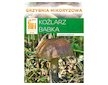 Kozák březový ( Leccinum scabrum ) mykorhyzní mycelium