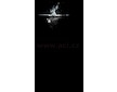 LED LENSER P6R WORK - ruční svítilna pracovní, dobíjecí, dosvit 230 m, záruka 7 let