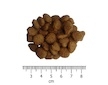 OPTIMAnova Cat Exquisite 2 kg