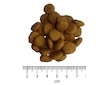 OPTIMAnova Cat Hairball 2 kg