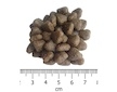 OPTIMAnova Dog Adult Mini Sensitive Salmon & Potato GF 8 kg