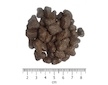 OPTIMAnova Dog Puppy Digestive Rabbit & Potato GF 12 kg