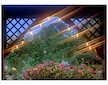 Ozdobná LED svítidla, 10ks, 4m, solární nabíjení BASS