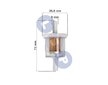 Palivový filtr pro motory LAWNMAN BRIGGS 691035 TECUMSEH