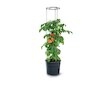 Plastový květináč 12l pro pěstování rajčat TOMATO GROWER