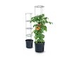 Plastový květináč 28l pro pěstování rajčat TOMATO GROWER