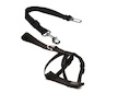Postroj pro psa do auta Croci L 70-90 cm