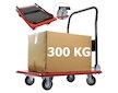 Přepravní plošinový vozík 300kg MAR-POL