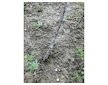 Roubovací páska 25mmx5m BUDDY TAPE