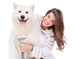 Sada pro péči o srst TESLA PetCare Station Pro TQ500