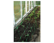 Síť podpůrná, pro popínavé rostliny, 2x10m PLANT NET