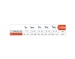 Thank´Q Standard Dog Adult Jehně 20 kg