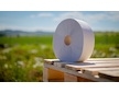 Toaletní papír Jumbo 280, 2vr recykl 65% bělost, 240m (6ks) FROS