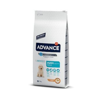 ADVANCE DOG MAXI Puppy Protect 12kg