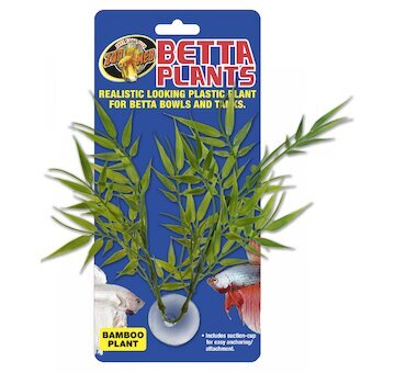 Betta Plant – Bambus