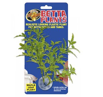 Betta Plant – Javorový list