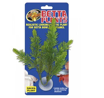 Betta Plant – Šalvěj
