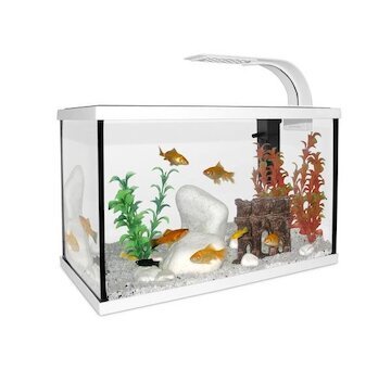 CAT-GATO Akvar.Set 40x20x25cm 20L bily