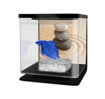 CATGATO Betarium Betta kit sand 2l