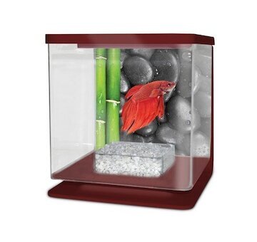 CATGATO Betarium Betta kit stones 2l
