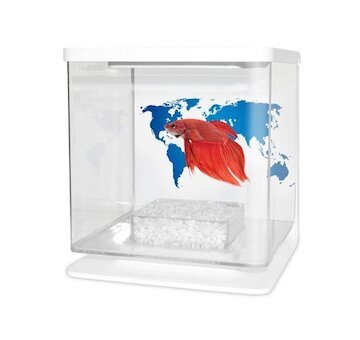 CATGATO Betarium Betta kit world map 2l