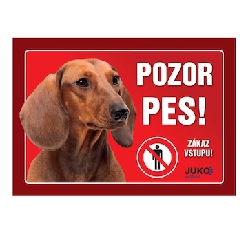 Cedulka Juko JEZEVČÍK hladkosrstý hnědý