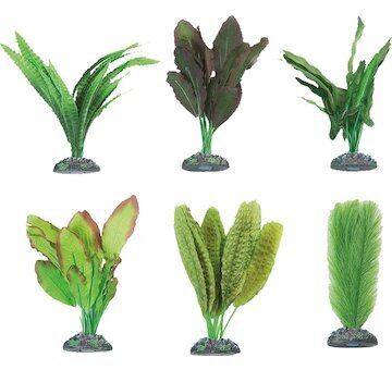 FLAMINGO  akvarijní rostliny mix  CONGO S