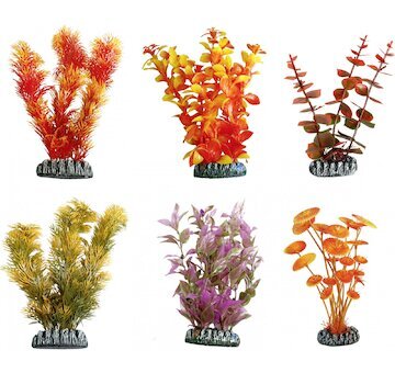 FLAMINGO  akvarijní rostliny mix CUBA XL