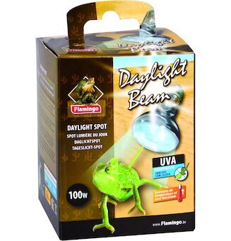 Flamingo Beam bodová žárovka denní světlo 100W