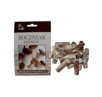 Hlíva máčková (Pleurotus eryngii) 20 ks - podhoubí na kolících