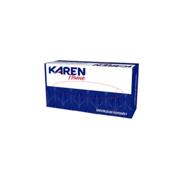 Kapesníky Karen 100ks v krabičce, 2vr.