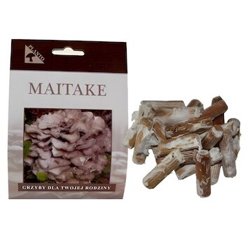 Maitake-trsnatec lupenitý (Grifola frondosa) 20 ks - podhoubí na kolících