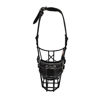 Náhubek černý/kůže anglický bulteriér - pes