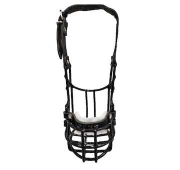 Náhubek černý/kůže knírač malý - fena