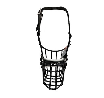 Náhubek černý/kůže pudl, jezevčík - pes