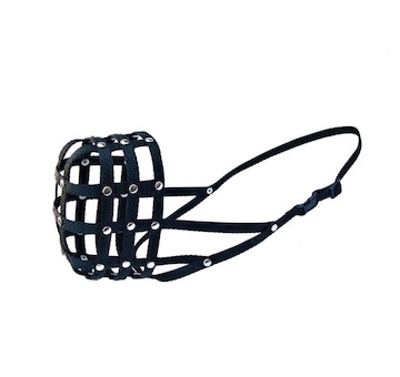 Náhubek popruh nylon staford, cane corso