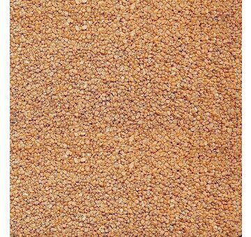 PetCenter pisek oranzovy 550g