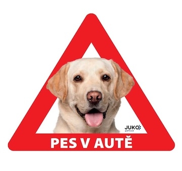 Samolepka pes v autě venkovní LABRADOR ZLATÝ