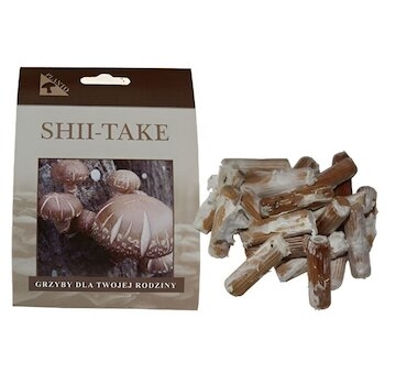 SHII TAKE 20ks - podhoubí na kolících